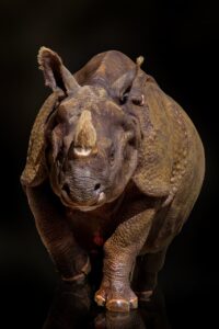 再エネプランの比較で高還元を得るためのポイントは？