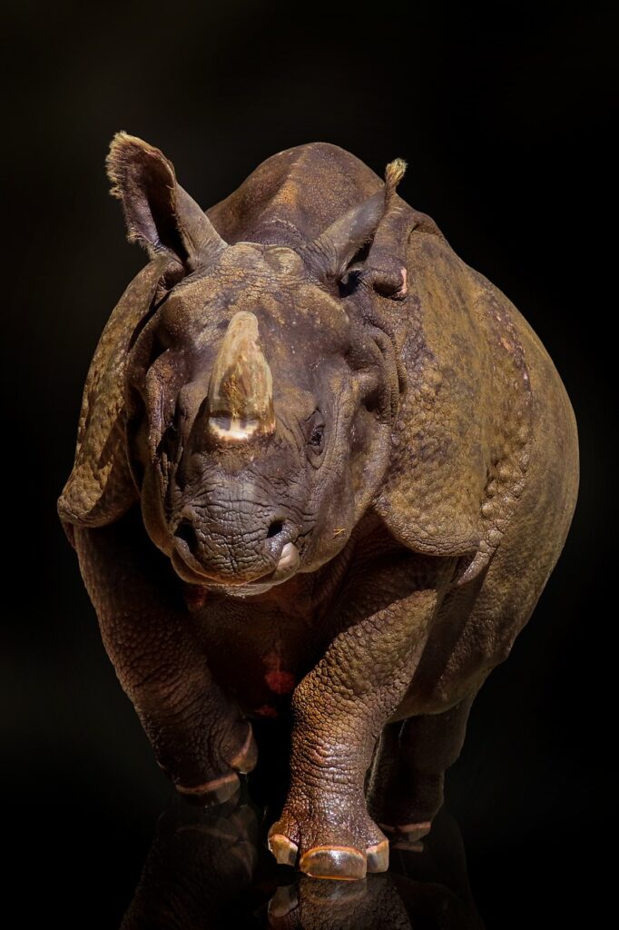 再エネプランの比較で高還元を得るためのポイントは？