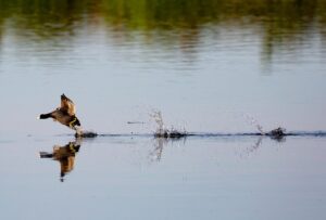定額電気料金プランの比較で得られるお得な選び方は？