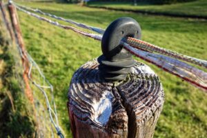 オンラインで電気料金の乗り換えはどのように行うべきか？