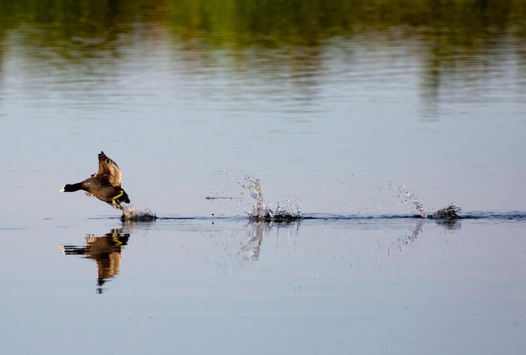 電気使い放題の料金プランはどのように選べば良いですか？
