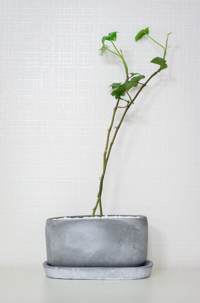 PPAプランの太陽光導入に必要な初期費用はどのくらい？