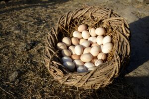 環境配慮を考えた電力会社のおすすめは？