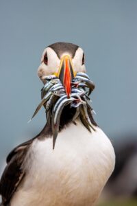 ENEOSでんきの無料シミュレーションでどれだけ節約できるの？