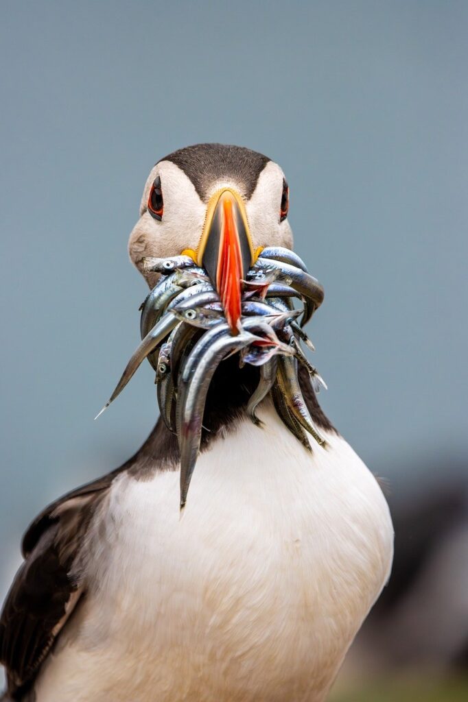 ENEOSでんきの無料シミュレーションでどれだけ節約できるの？