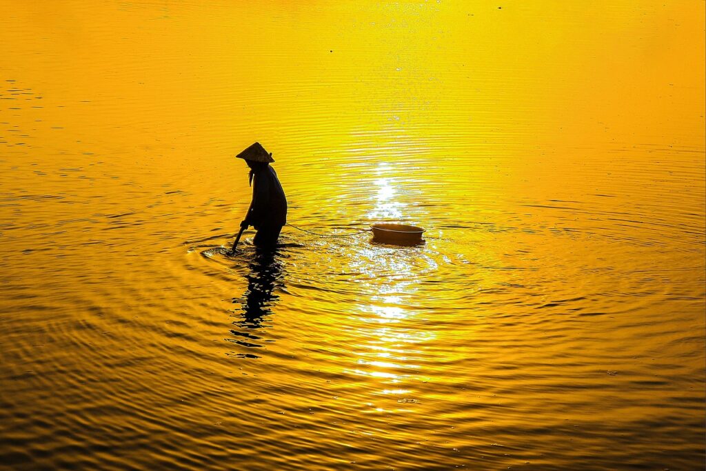 Looopでんきの高還元ポイントを賢く活用する方法は？