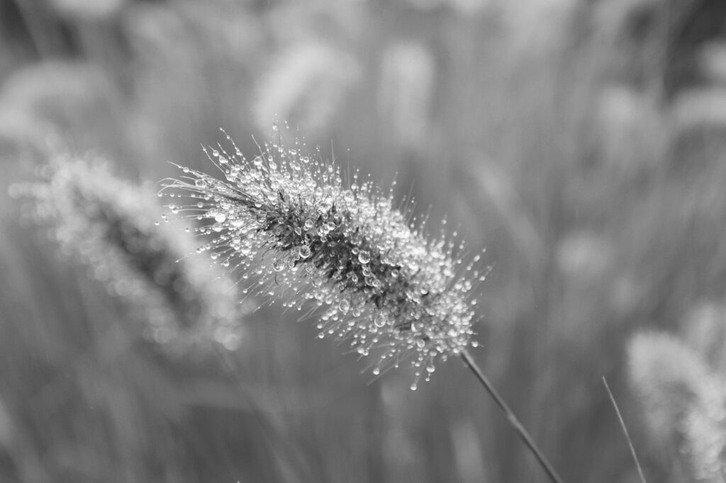 auでんきの高還元キャンペーンはどのように利用できるの？