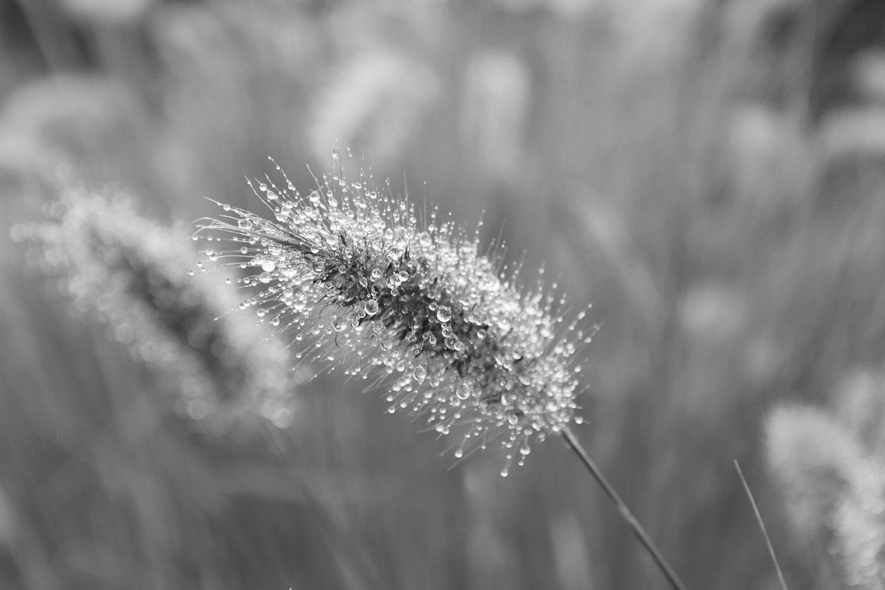 auでんきの高還元キャンペーンはどのように利用できるの？