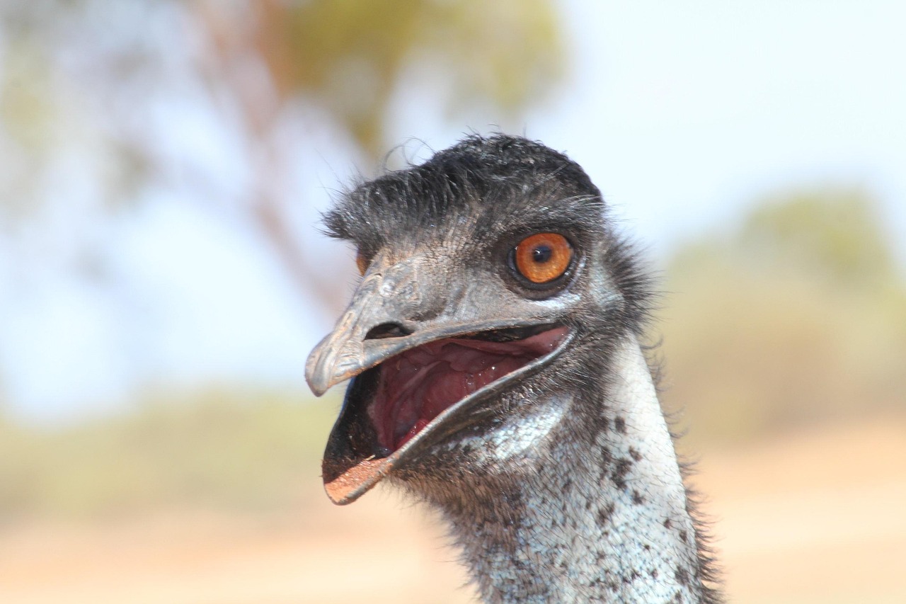 au光セットを使った電気の乗り換え方法は？