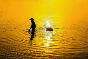 楽天でんきのポイント還元で高還元を受ける方法は？