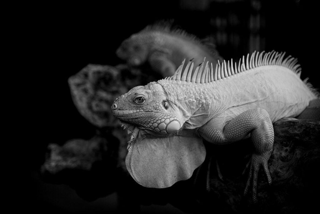 オール電化の電力比較で得られるメリットは？